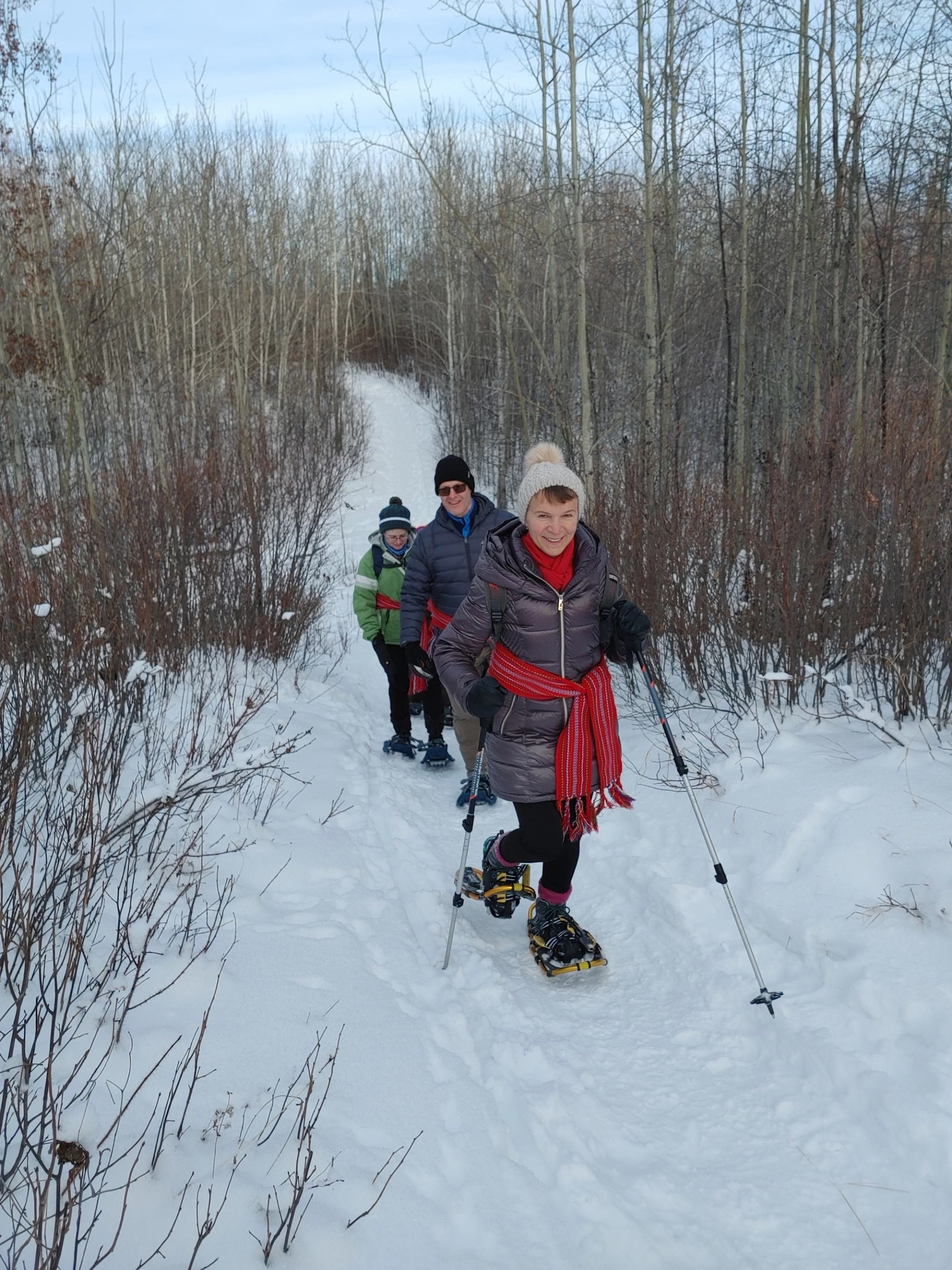 Three people snowshoeing along a narrow snowy path through a boreal forest, and sharing adventure.