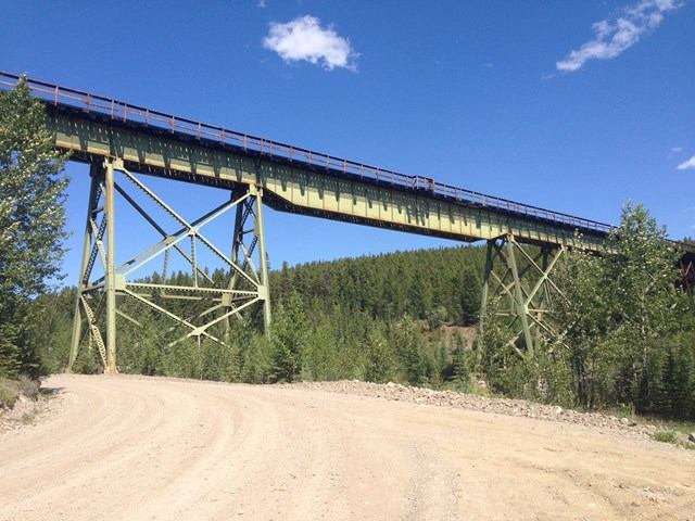 Tall green bridge spans a dirt road surrounded by dense forest under a clear blue sky.
