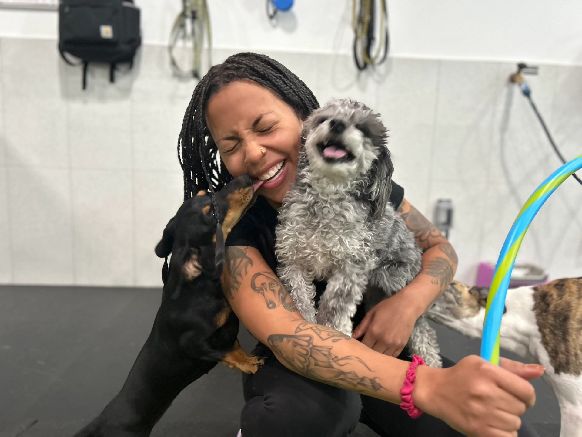 Person holding two dogs at Fantasia Dog Daycare, with leashes and grooming station in the background.