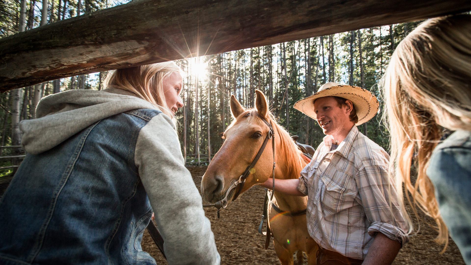 Horseback riding in a forest, with a rider in a straw hat beside a brown horse.