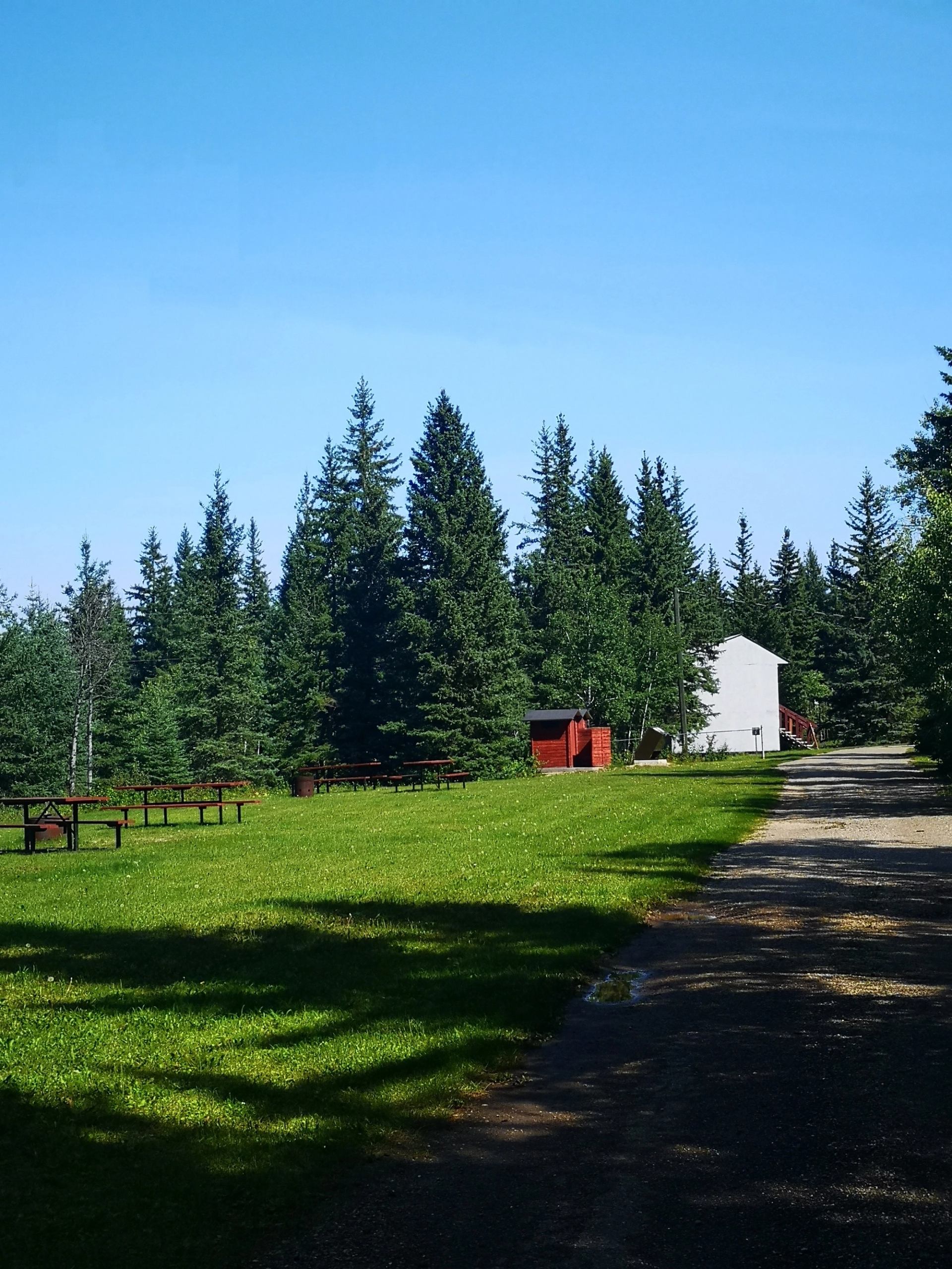 Picnic area at Tangent Park Campground.