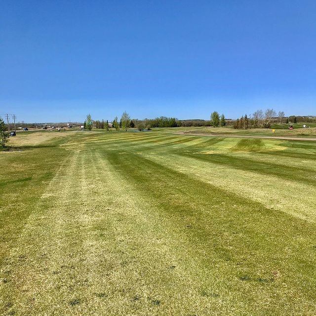 Sunny golf course with striped fairway and trees in the distance.