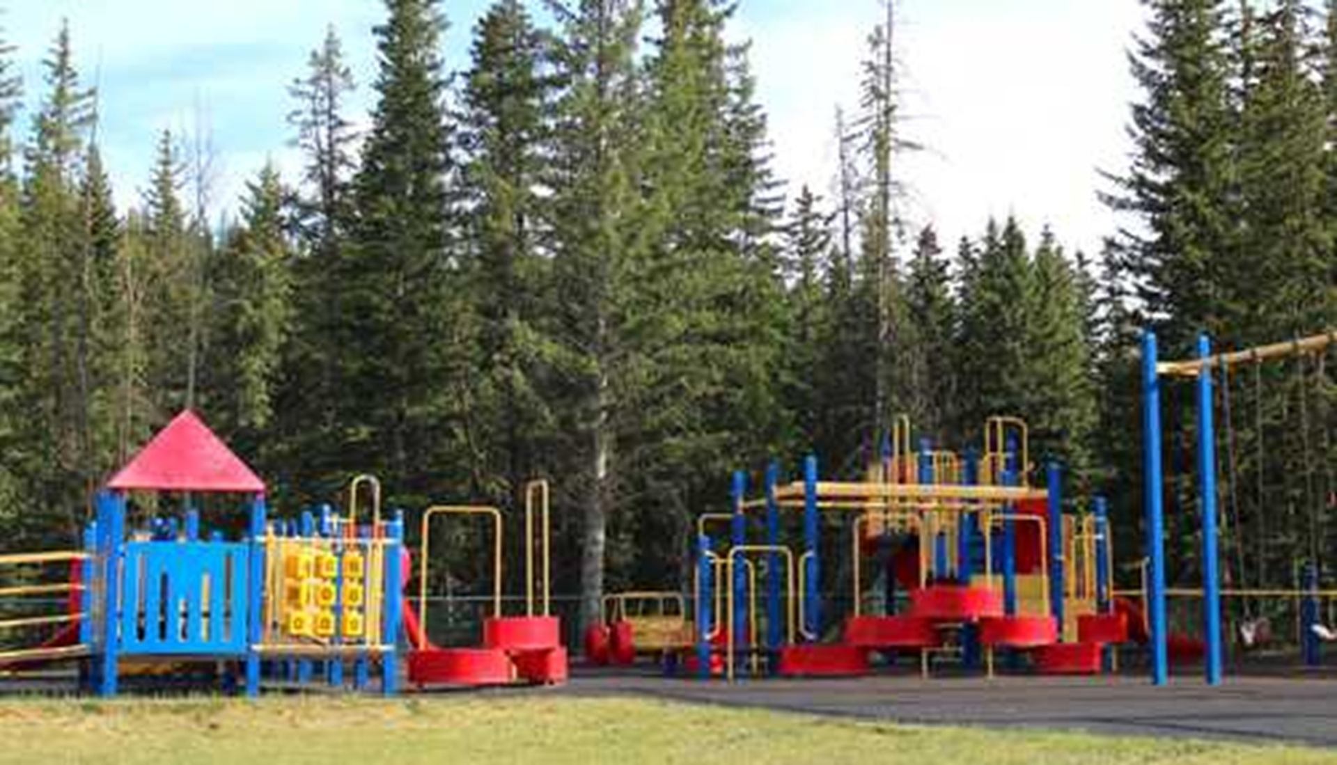 Colourful playground structures stand in a clearing surrounded by evergreen trees.