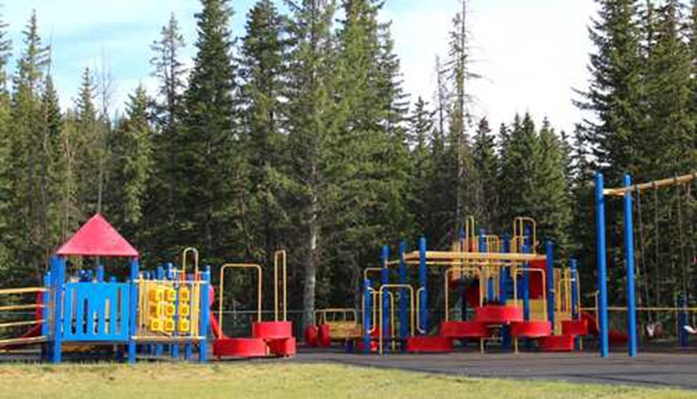 Colourful playground structures stand in a clearing surrounded by evergreen trees.