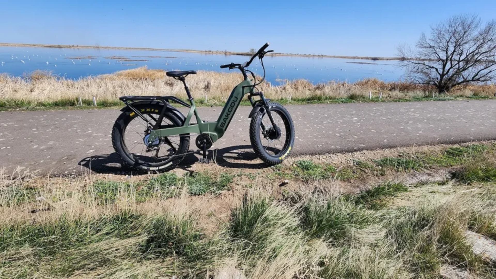 Green Bakcou electric bike parked on paved path beside calm lake and dry grass.