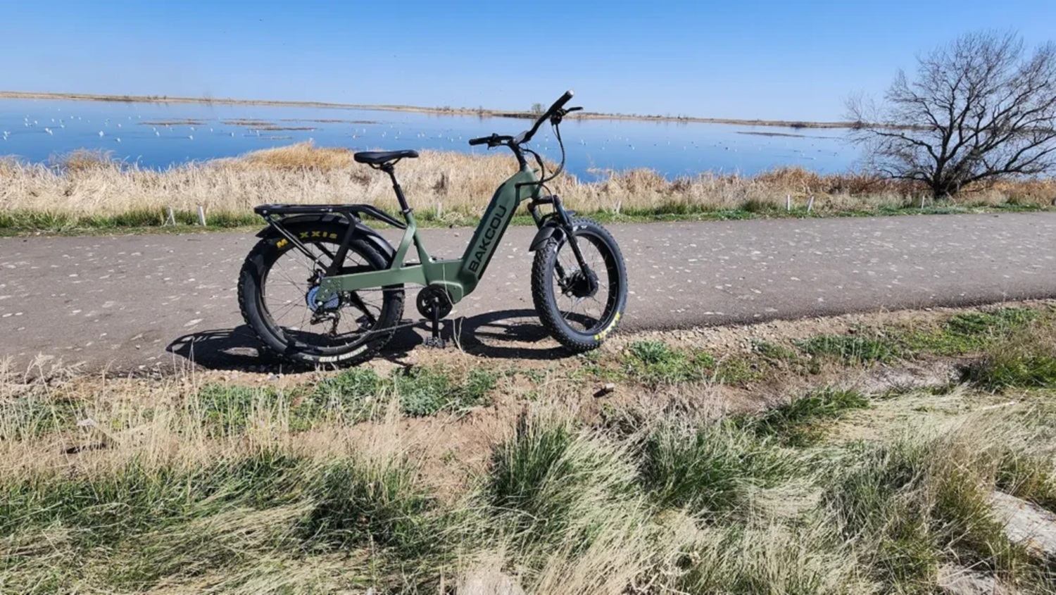 Green Bakcou electric bike parked on paved path beside calm lake and dry grass.