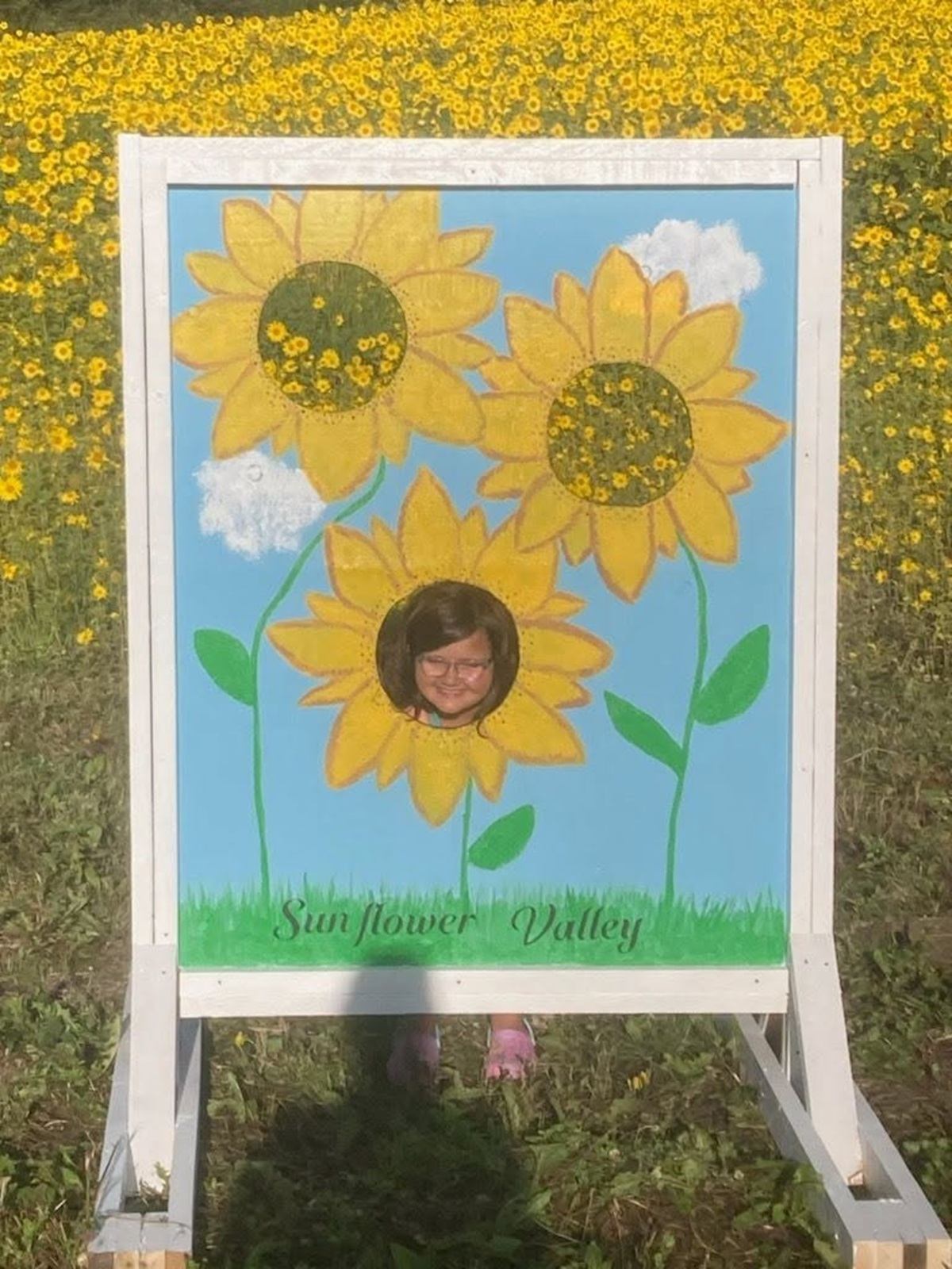 A sunflower photo board stands in a field of blooming yellow flowers ready for visitors.