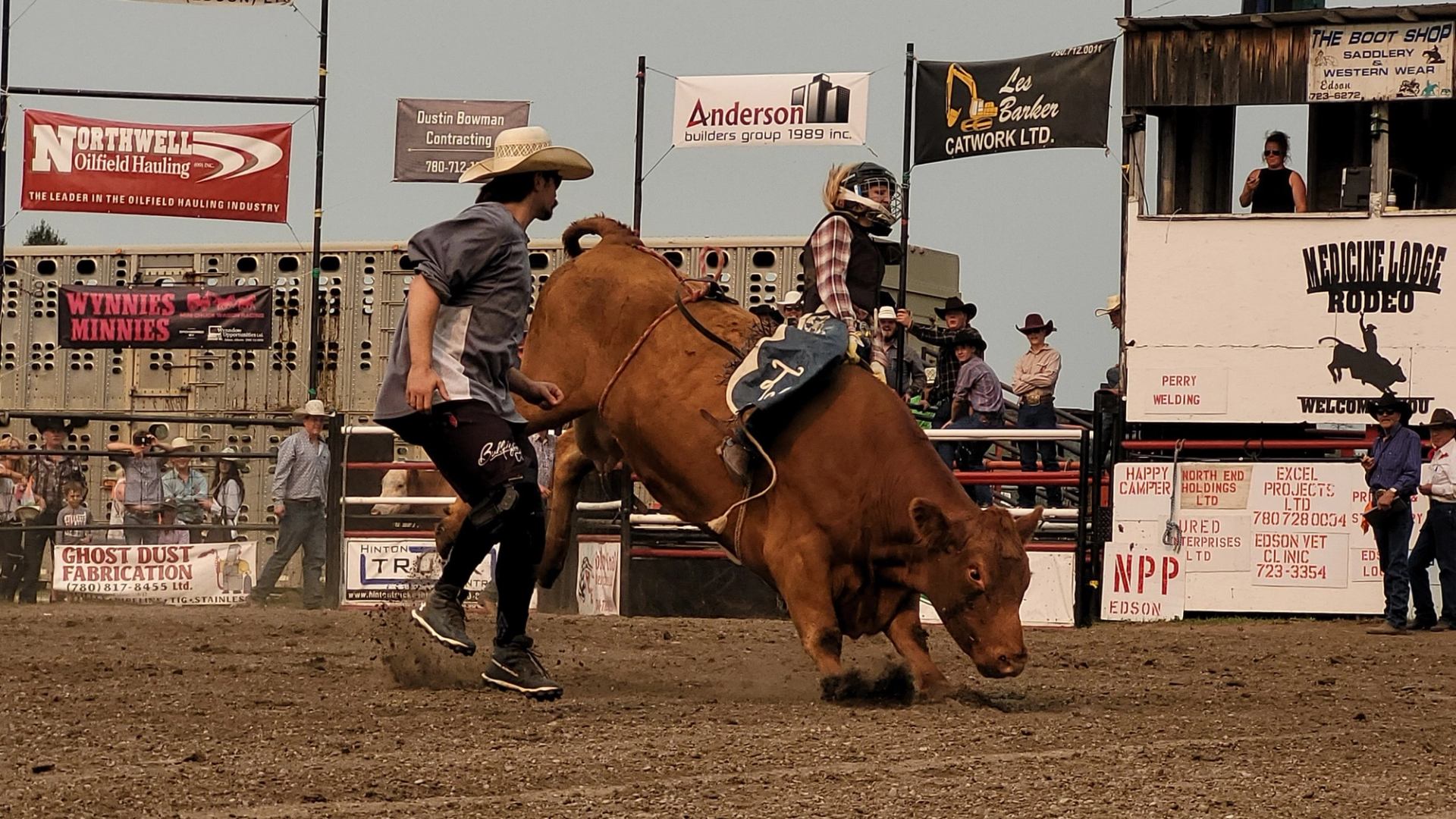 A child riding a bull