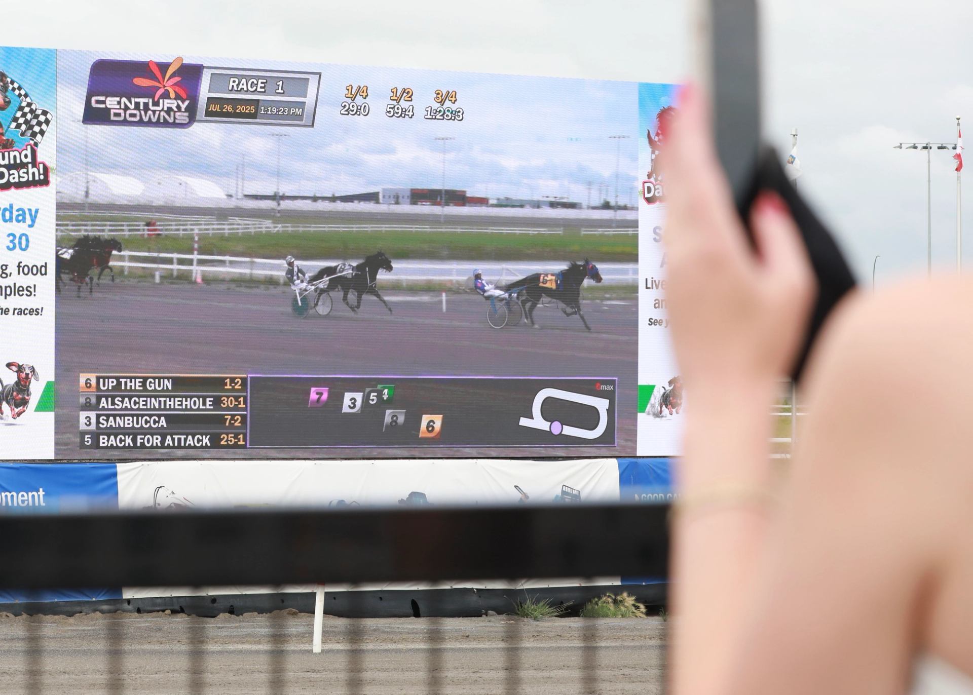 Close-up of a race broadcast showing Standardbred horses competing on the track.
