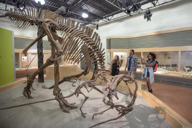 Visitors exploring the exhibits at the Dinosaur Provincial Park Visitor Centre.