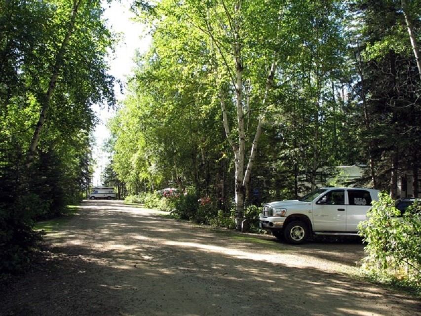 A view down one of the campground loops at Marten River, with a few campsites visible.