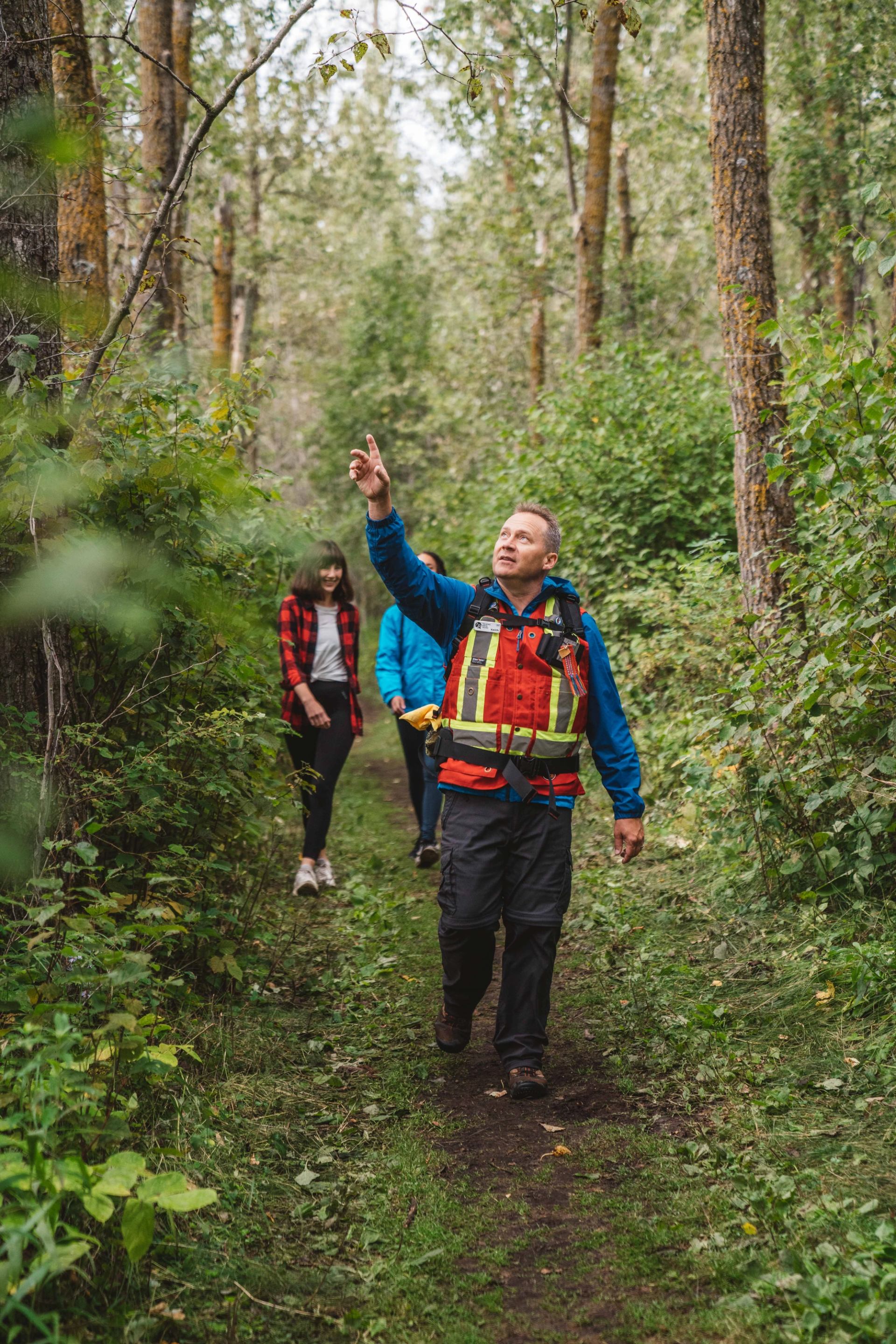 Three people walk through forest, one points upward to showcase the evidence of woodpeckers.