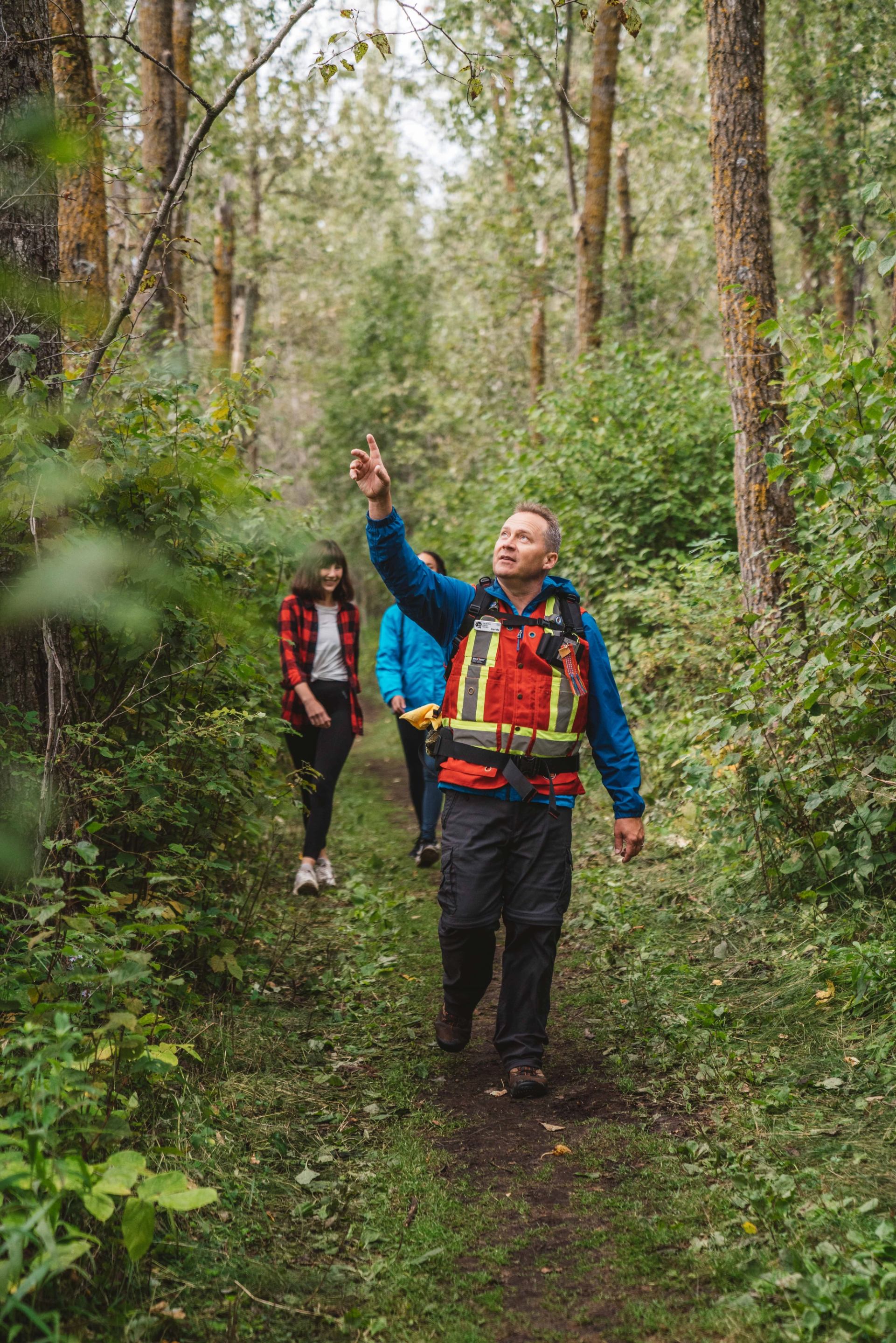Three people walk through forest, one points upward to showcase the evidence of woodpeckers.