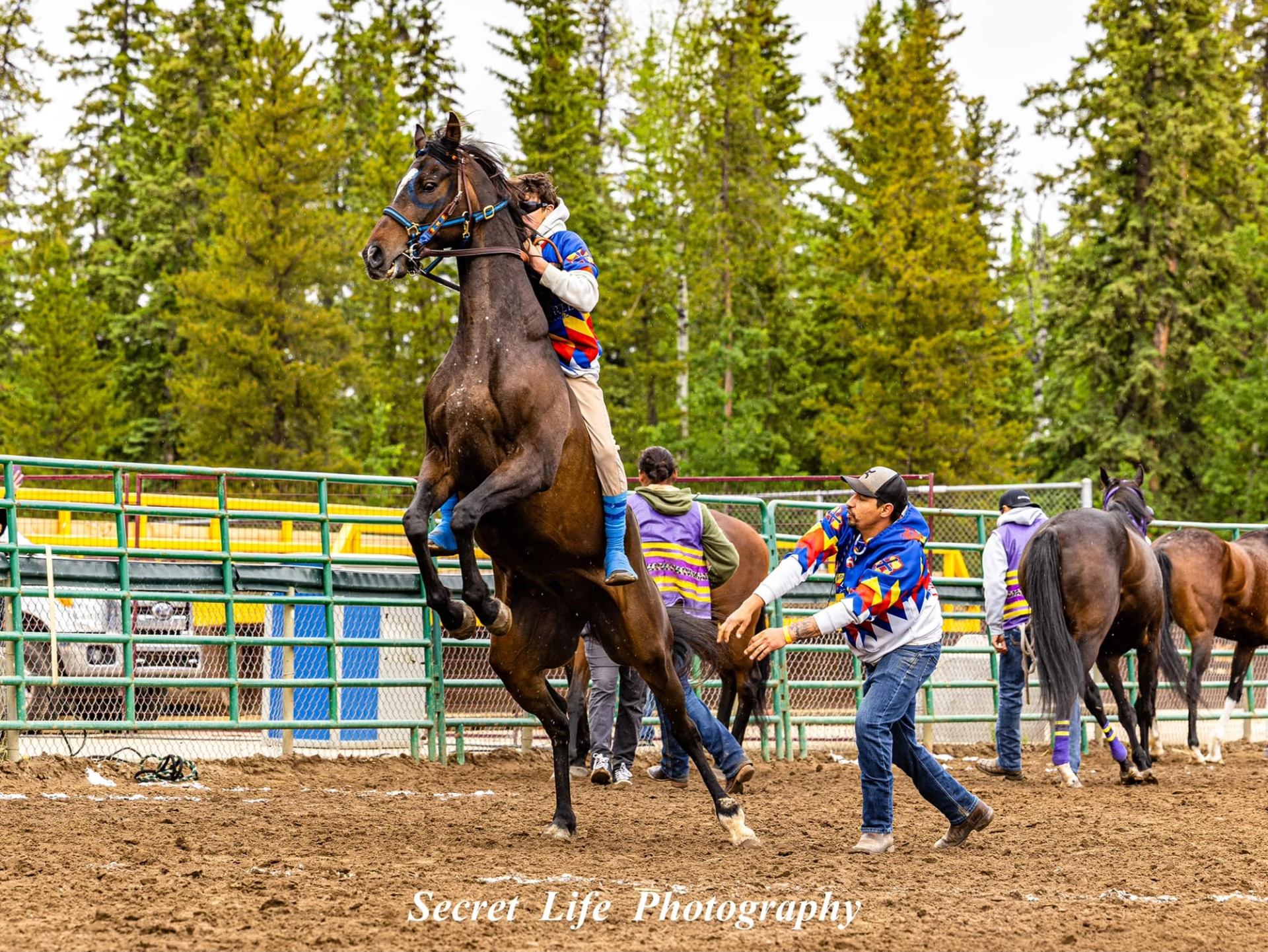 Horse rearing as rider and others stand nearby in the arena.