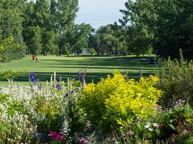 Flower garden beside tree-lined golf fairway with a golfer in the distance.