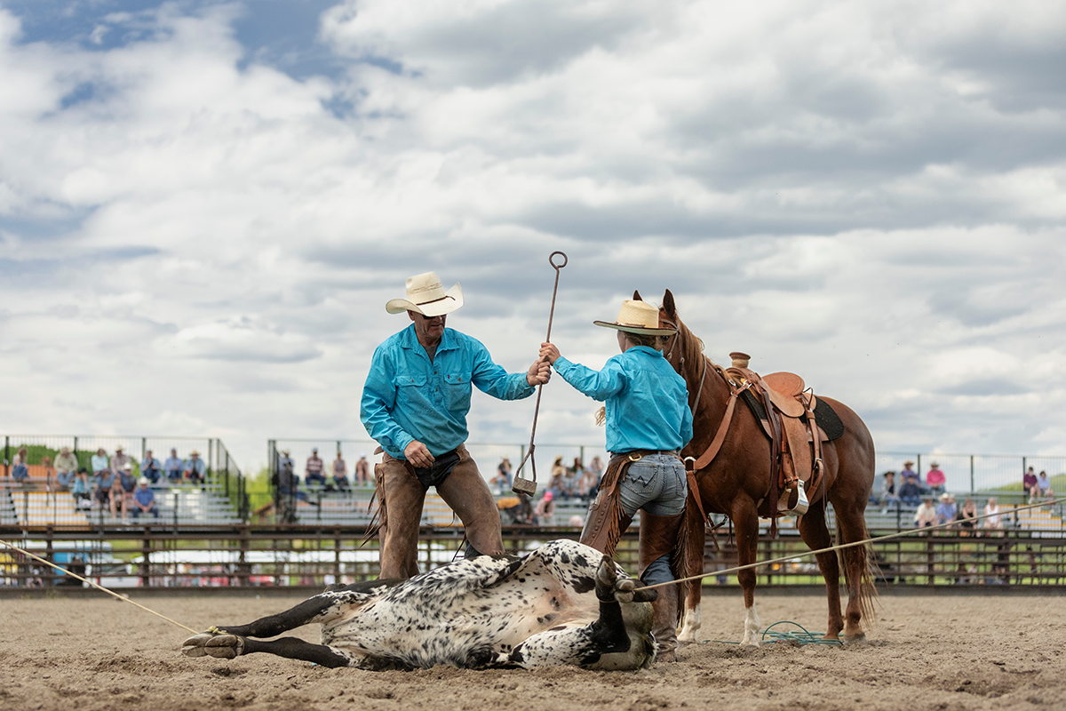 Two men roping a cow