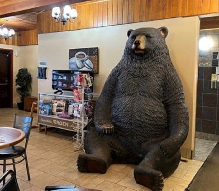 Great Bear Cafe | Canada's Alberta thumbnail