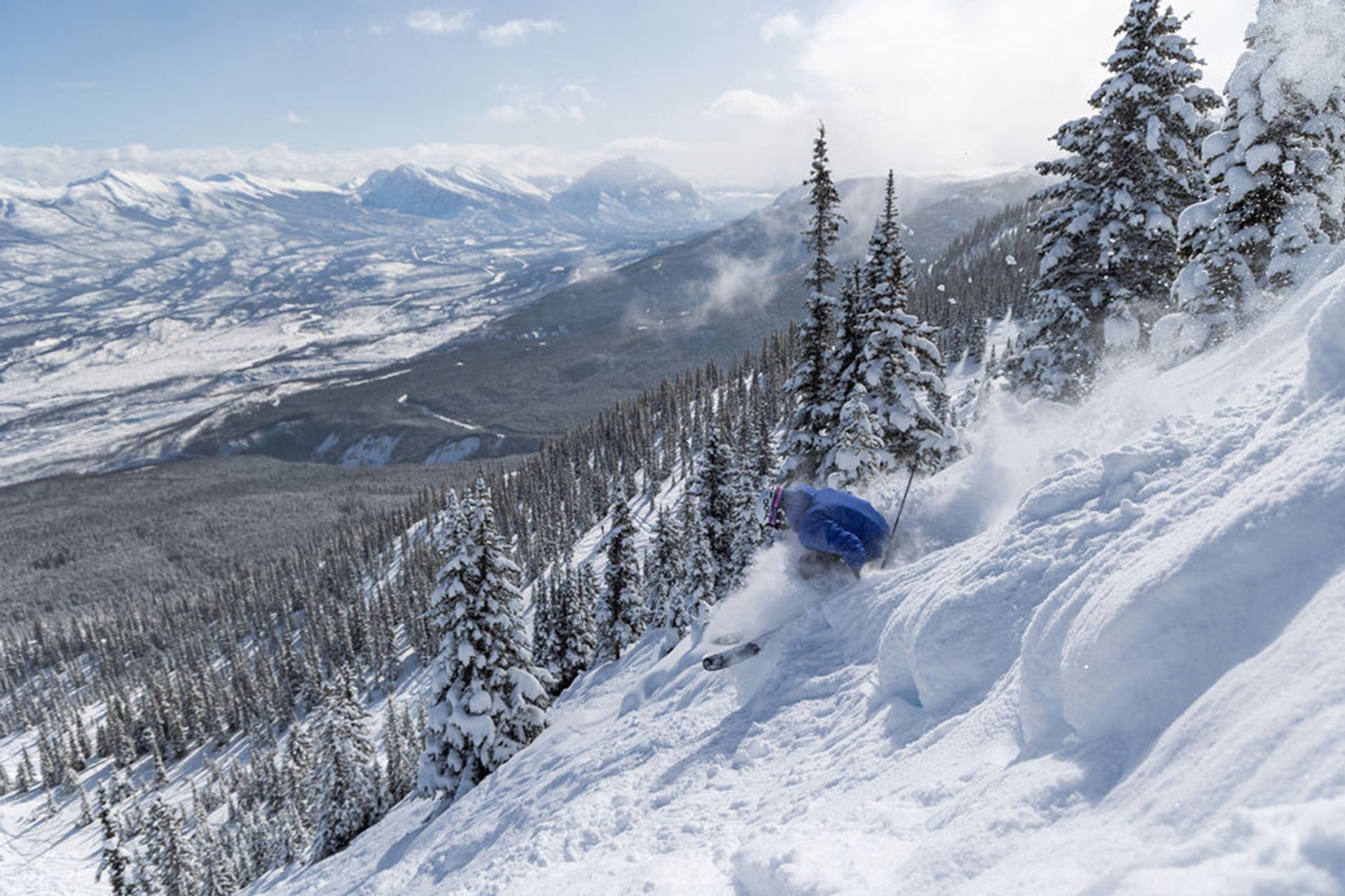 Advanced skier carving through powder on Marmot Basin's advanced Eagle East terrain.