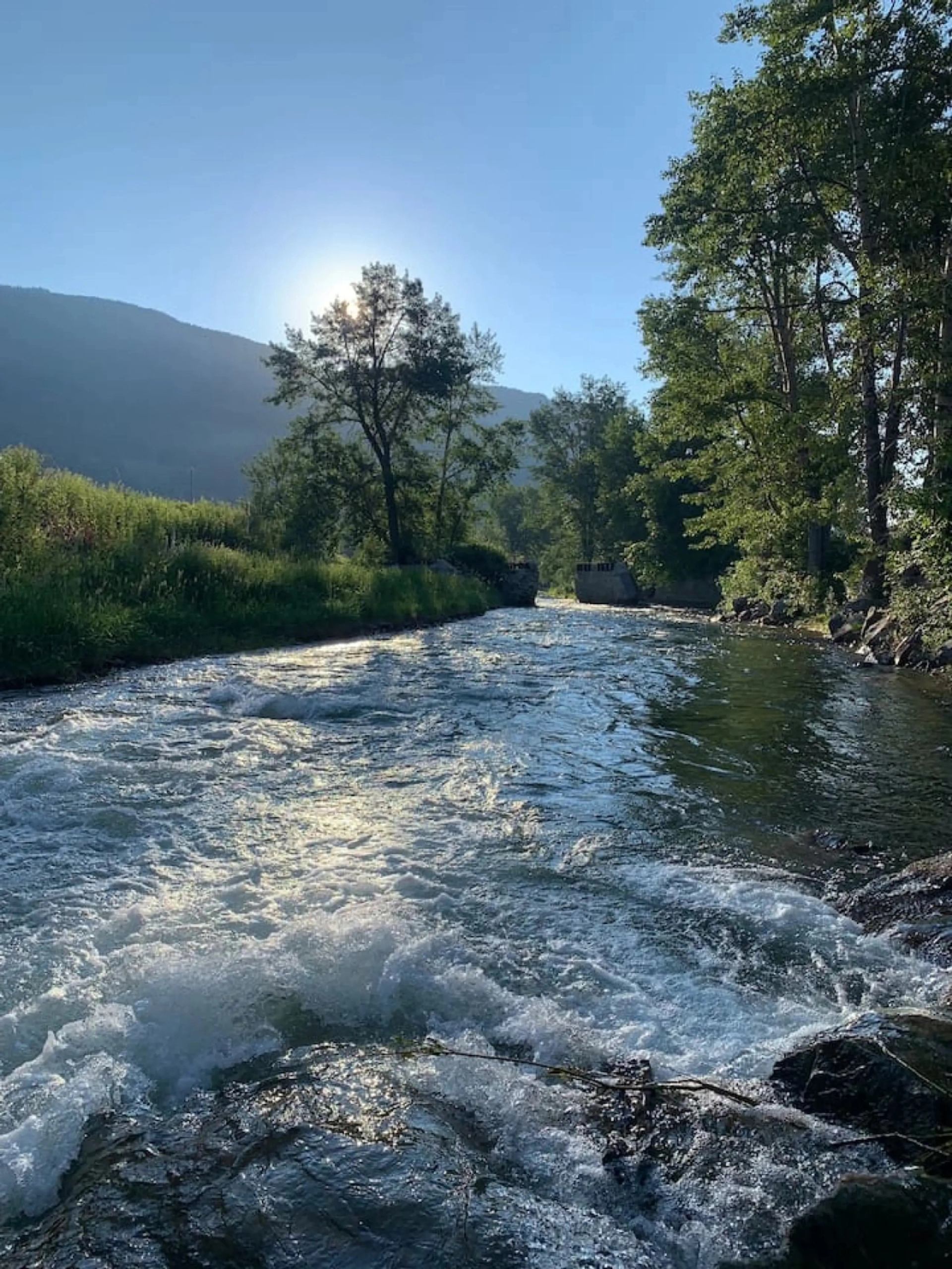 River with flowing water, trees, and hills in the background at a campground.