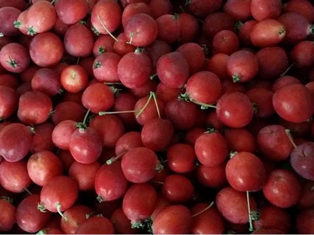 Red grapes clustered together, with stems and green caps visible on the fruit.
