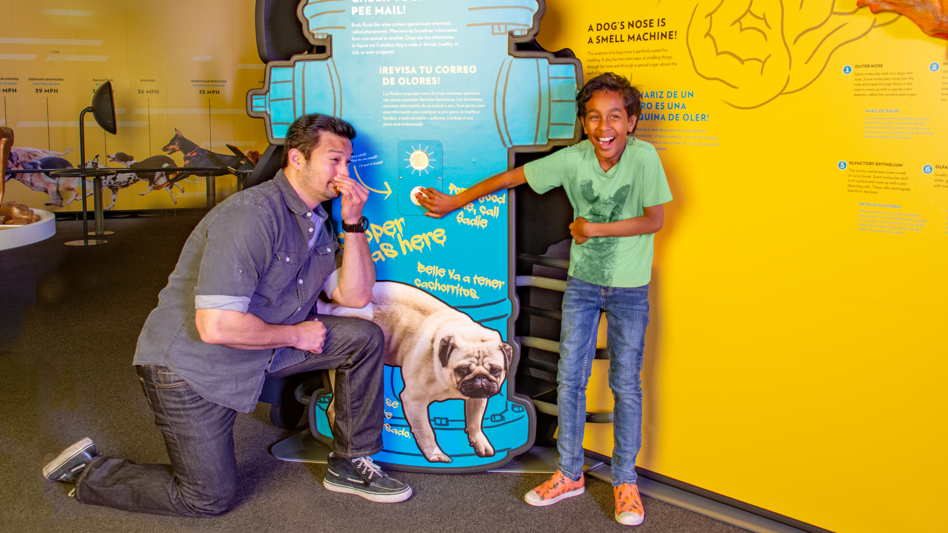 Man kneels beside child at dog-themed museum exhibit with bright yellow walls.