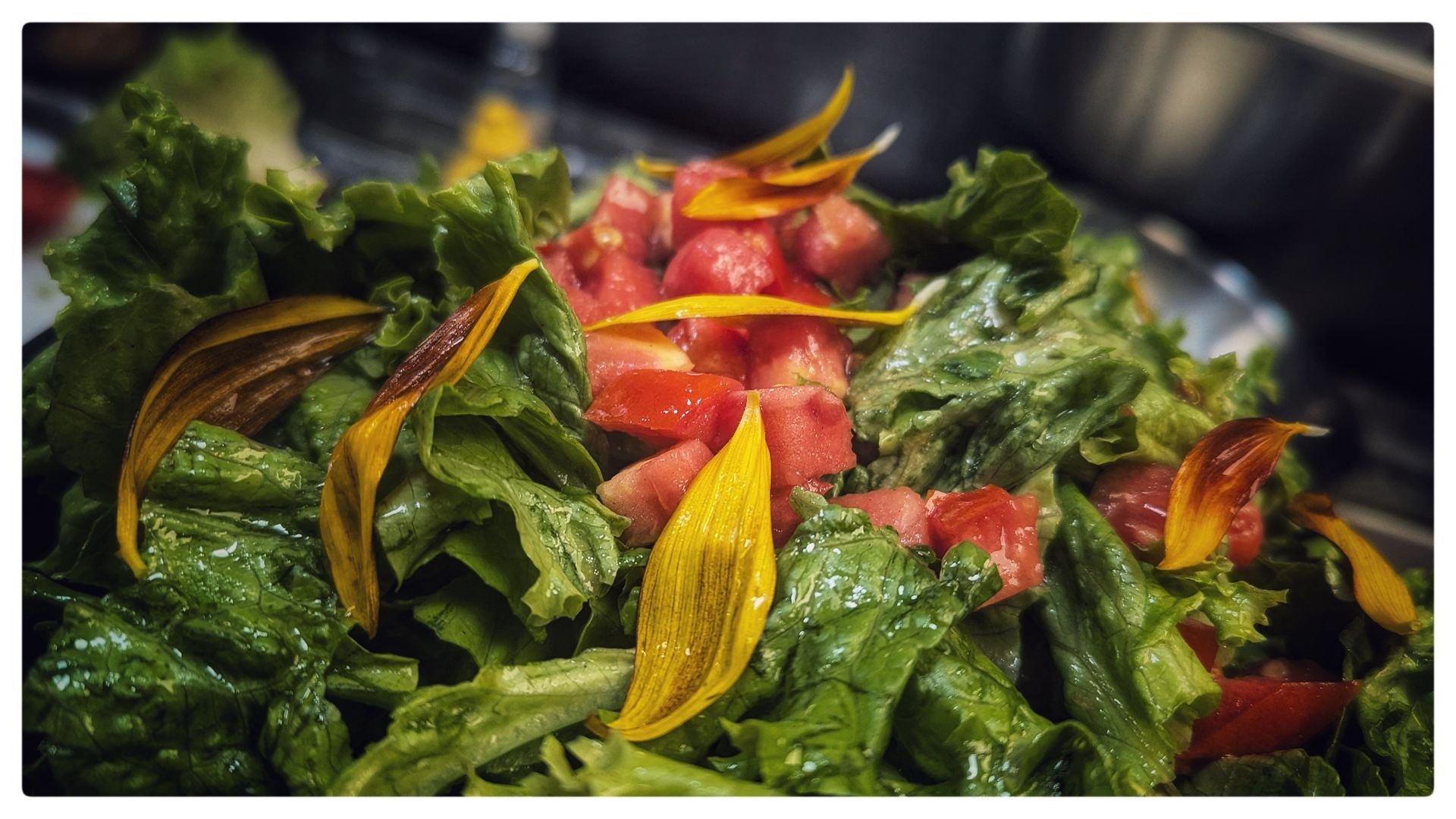 Farm fresh grown vegetables.