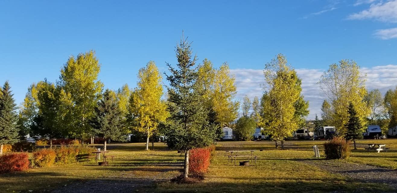 Open grassy area with trees, picnic tables, and RVs in the background