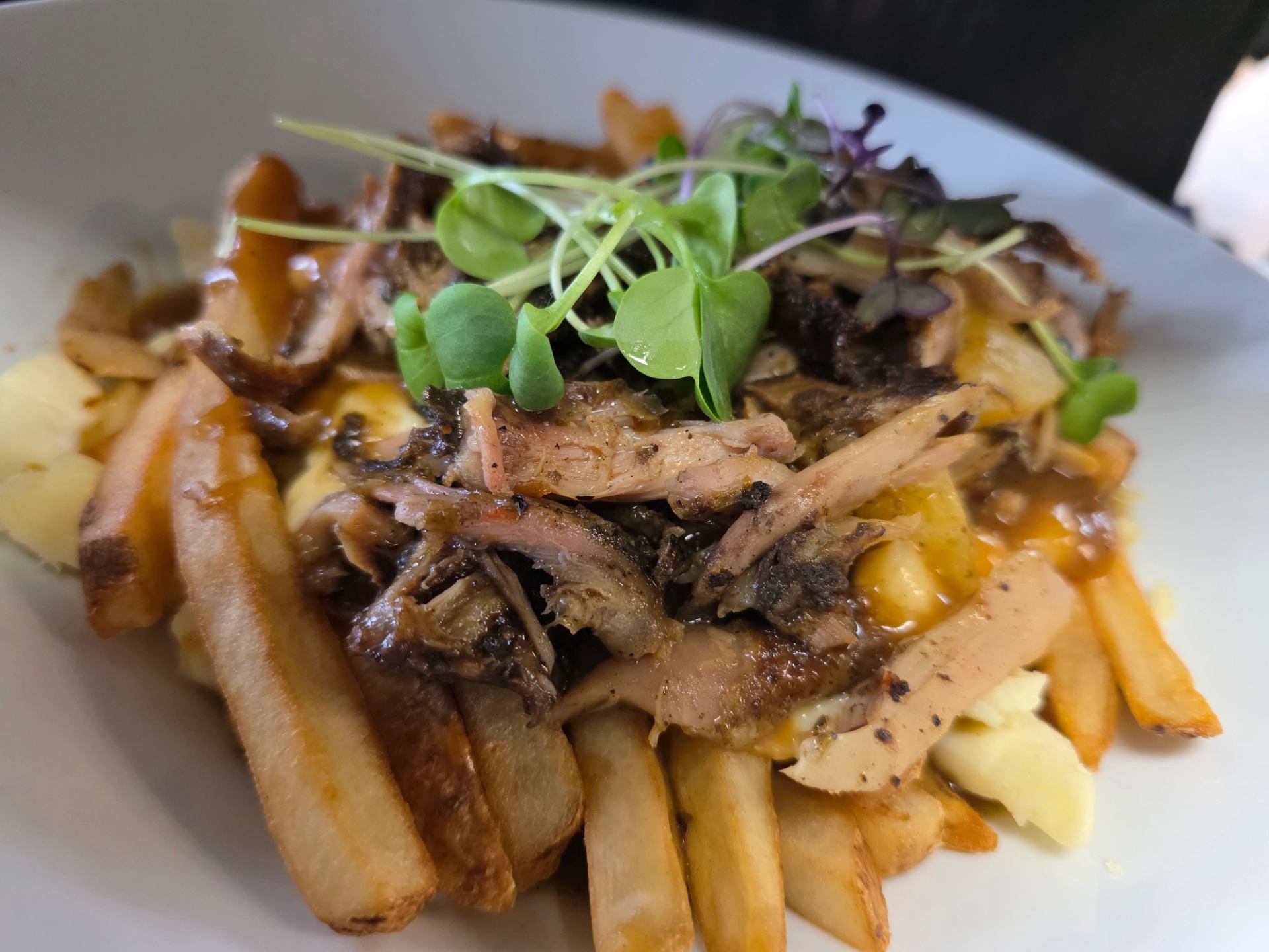 Fries topped with cheese curds, gravy, shredded meat and microgreens.