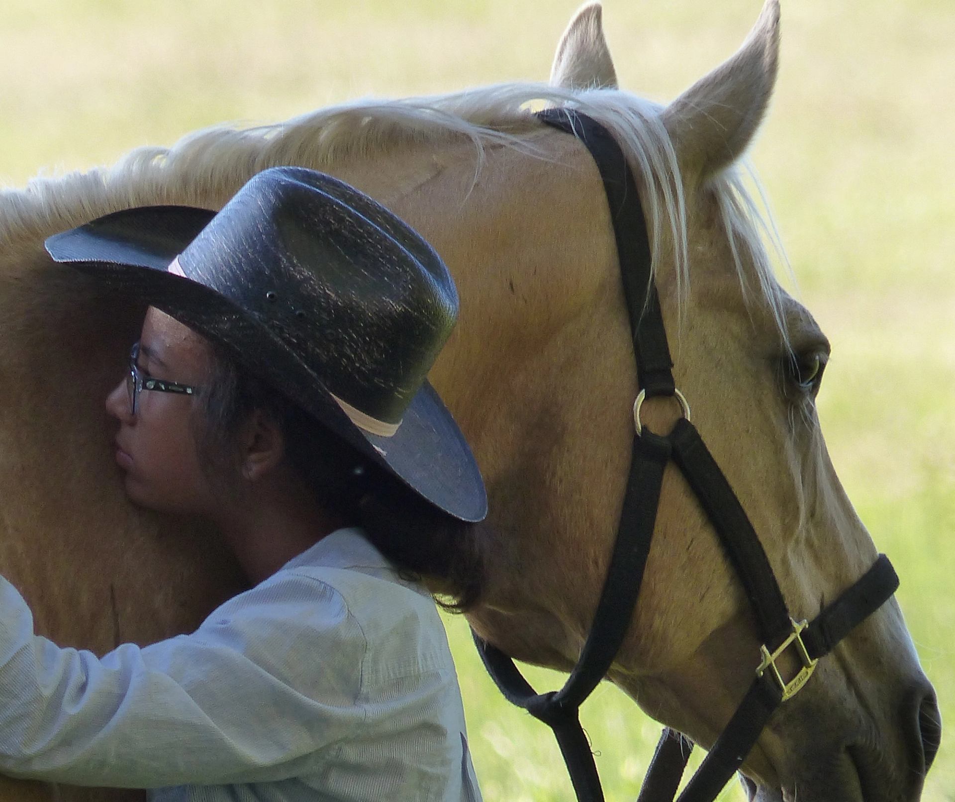 A girl hugging a horse