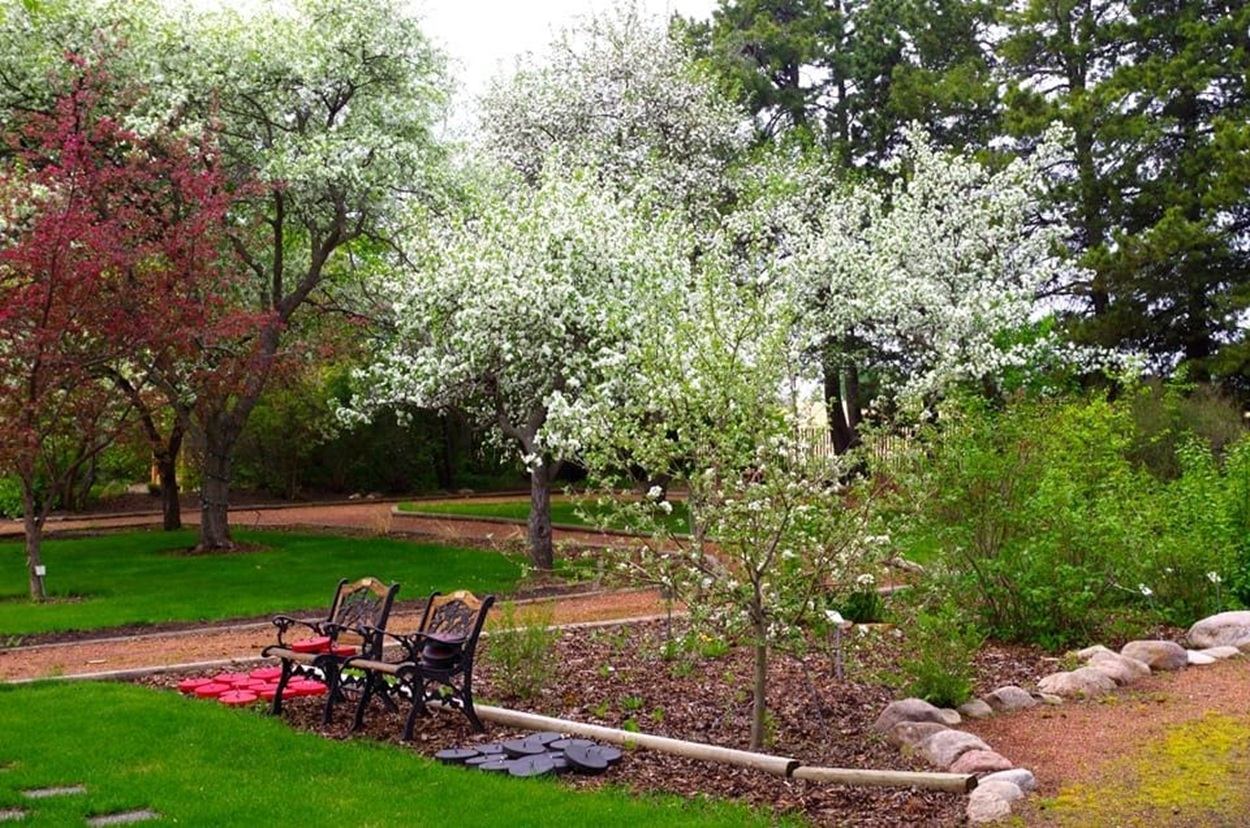 Garden path with flowering trees, green lawn and empty benches beside stepping stones.