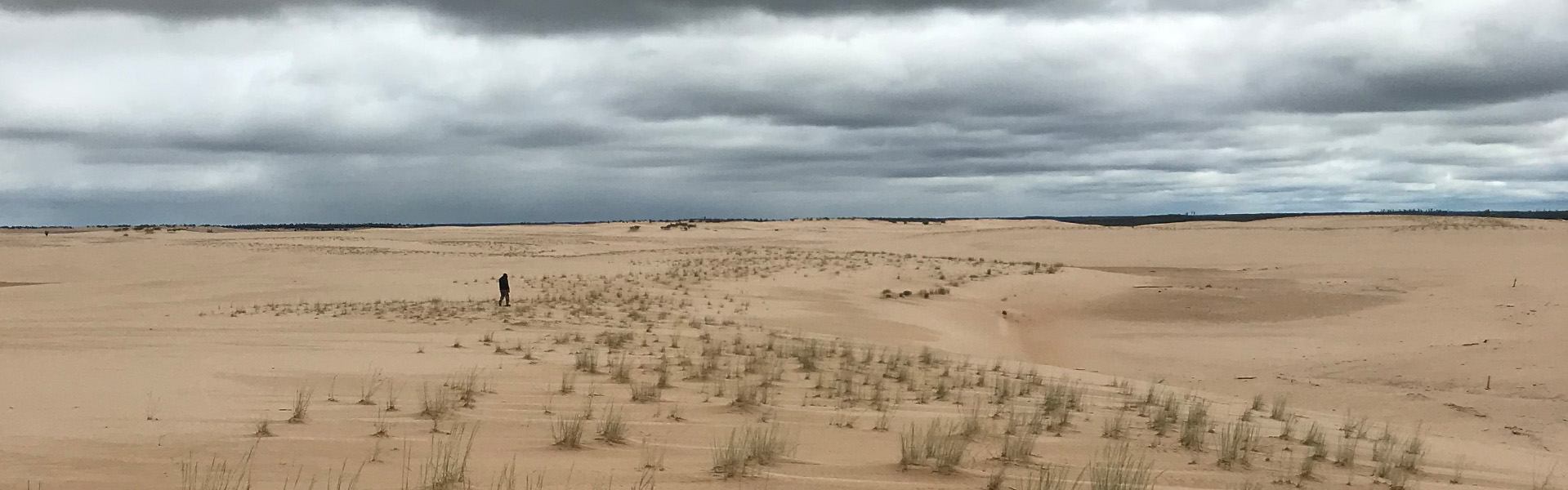 Rolling sand dunes stretch beneath a dramatic cloudy sky at Richardson Wildland Provincial Park.