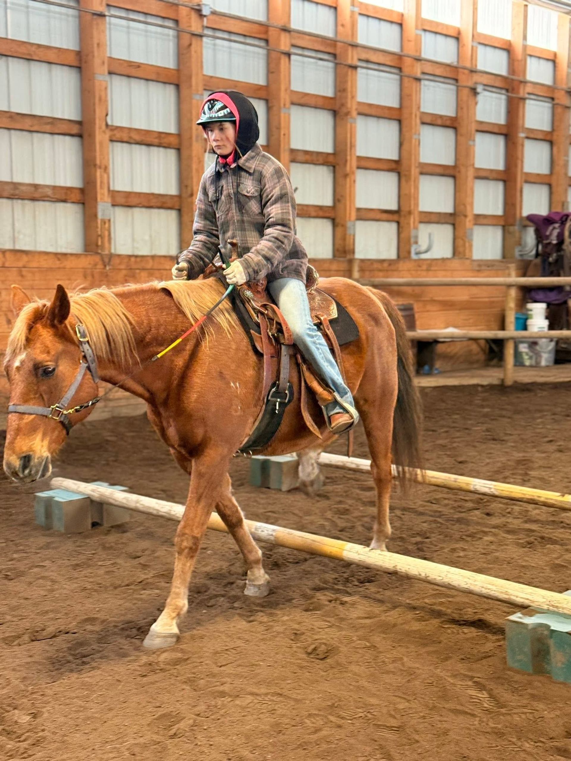 Rider wearing helmet guides brown horse over ground poles in indoor riding arena.