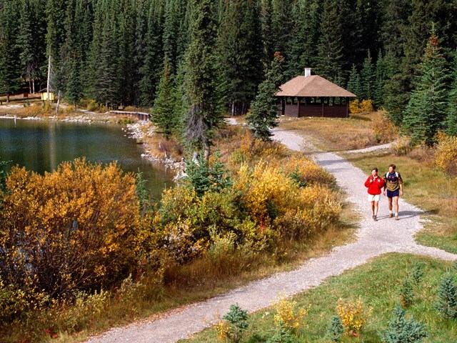 Two people running on a trail.