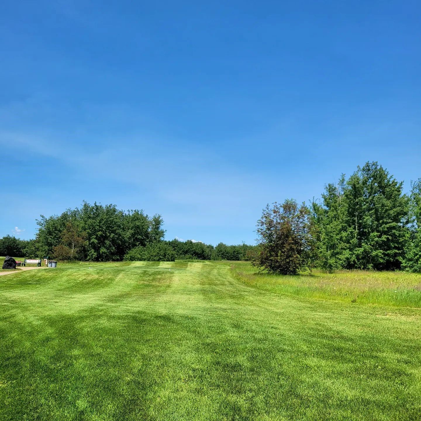Golf fairway at Cardiff Golf & Country Club with trees and blue sky.
