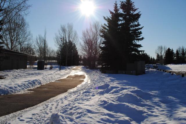 A pathway in Nose Creek Provincial Park in the Winter.