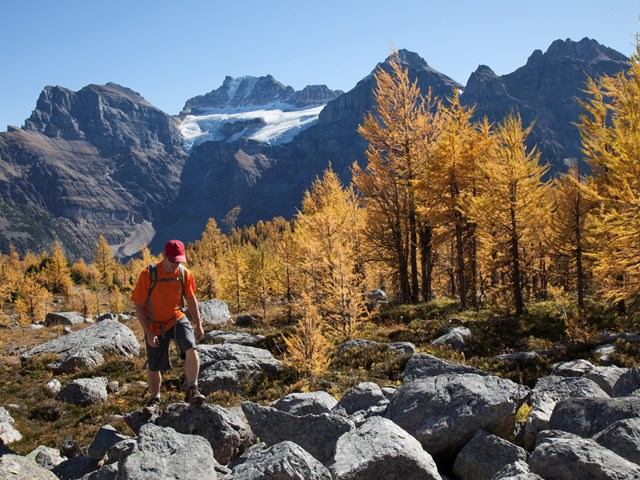Larch Valley / Minnestimma Lakes | Canada's Alberta thumbnail