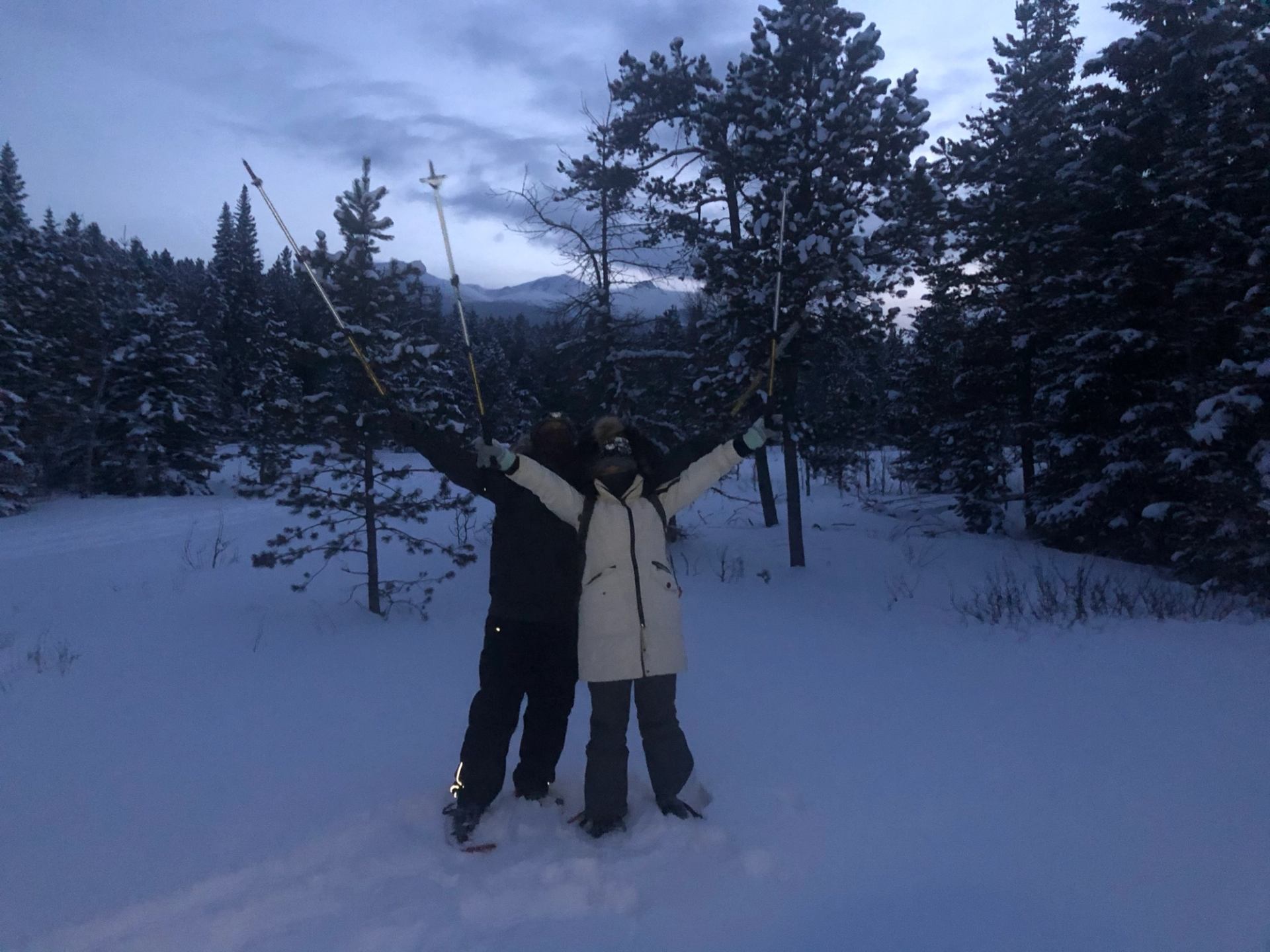 Two people standing in snow at dusk, raising trekking poles among pine trees.