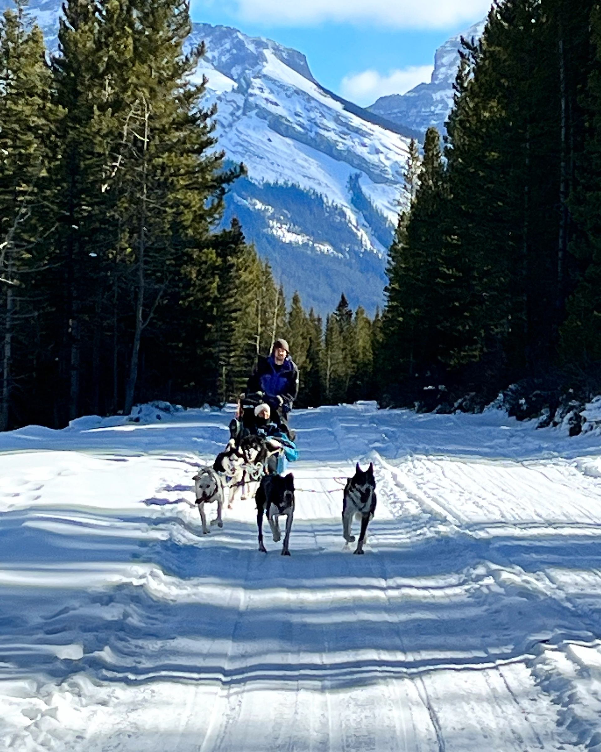 Howling Dog Tours Ltd. | Canada's Alberta thumbnail