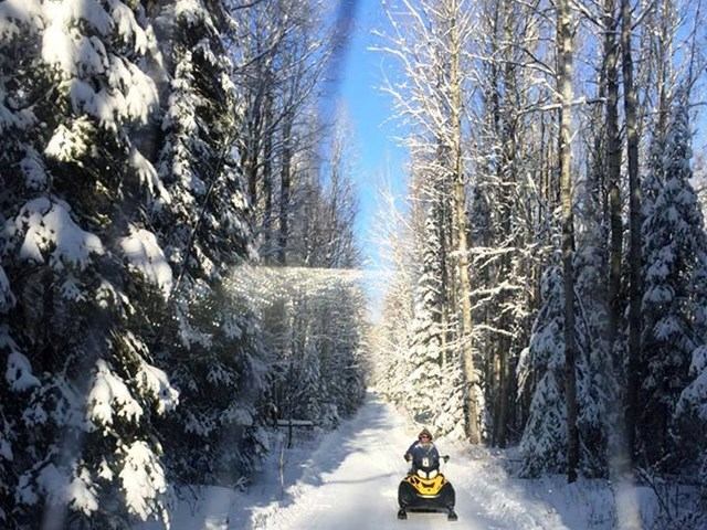 Nine Mile Creek Recreation Area | Canada's Alberta thumbnail