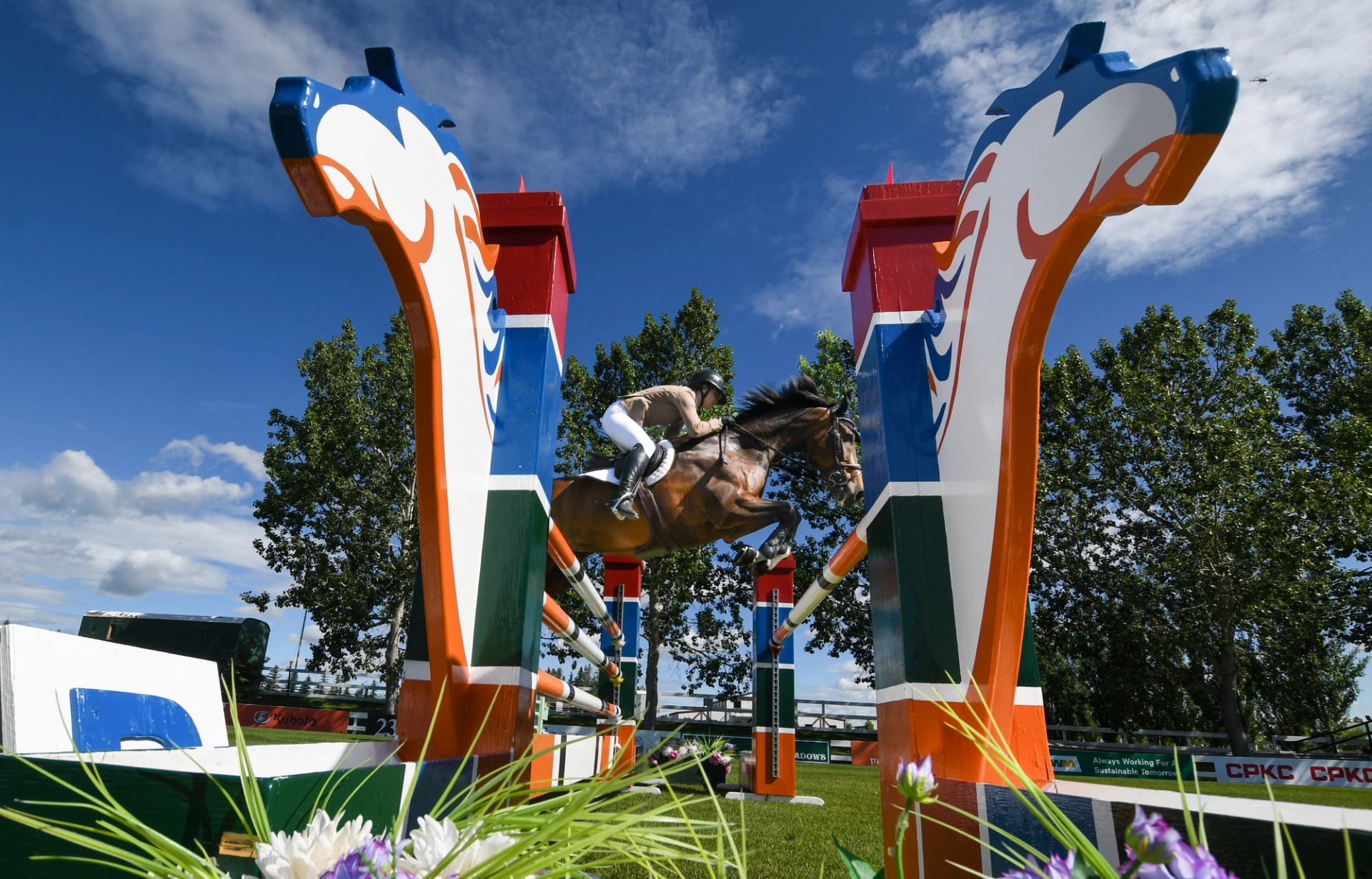 A horse and rider leap through a tall, colorful jump on the Pan American course.