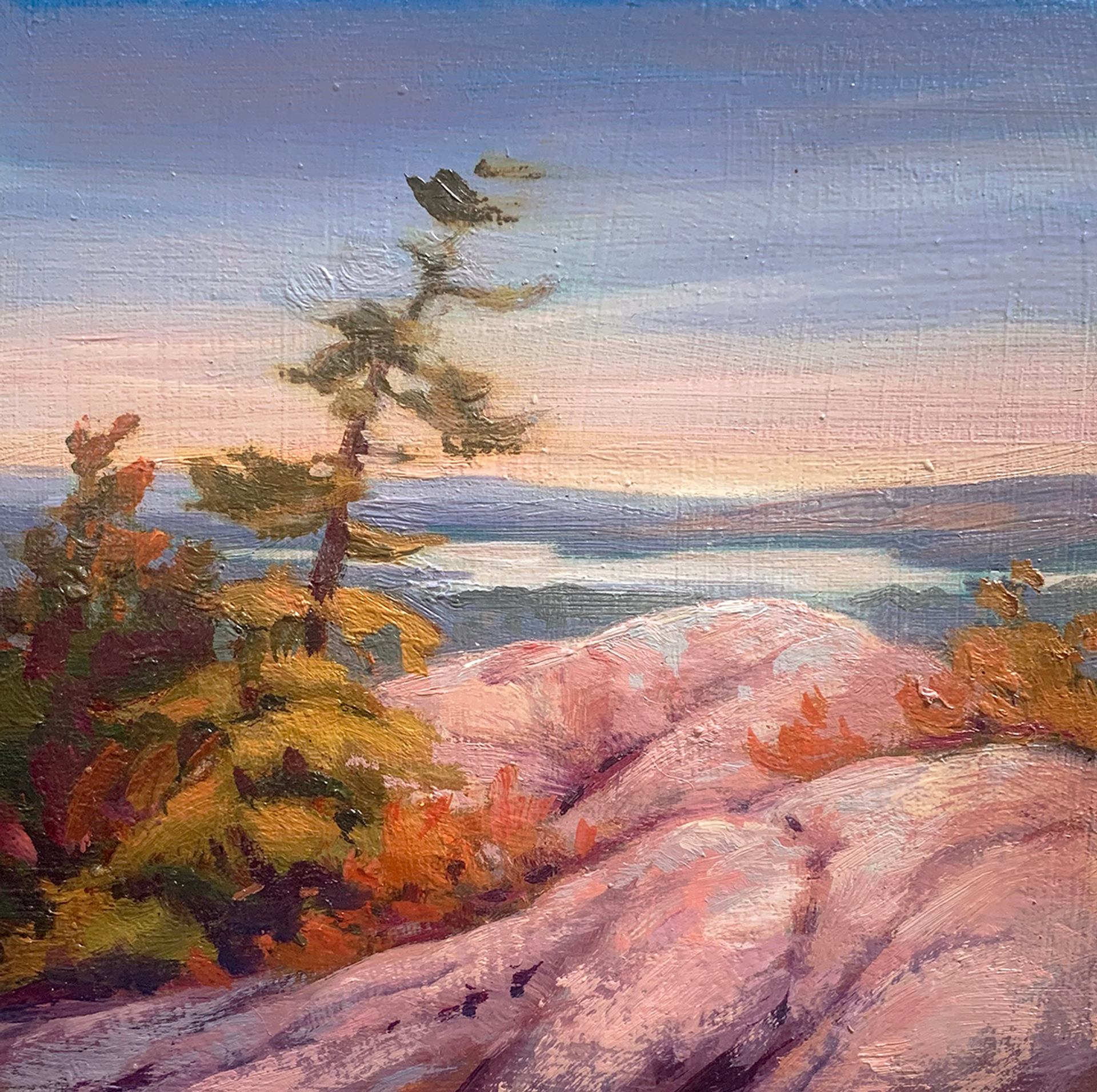 Landscape painting of pink rocks, evergreen trees, blue water and distant hills.