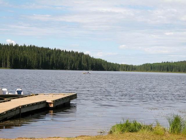 Wooden dock extending into a calm lake surrounded by dense evergreen forest.