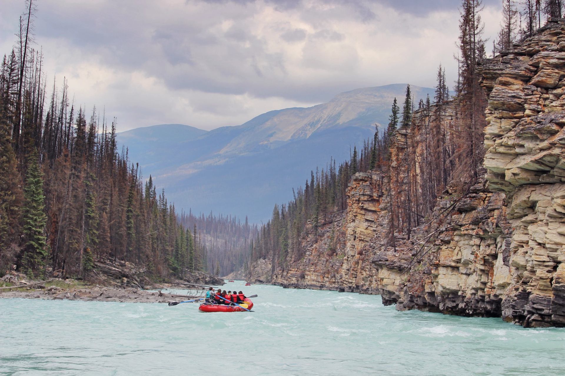 A red raft with people paddles on a turquoise river through a canyon with rocky cliffs and dead trees.