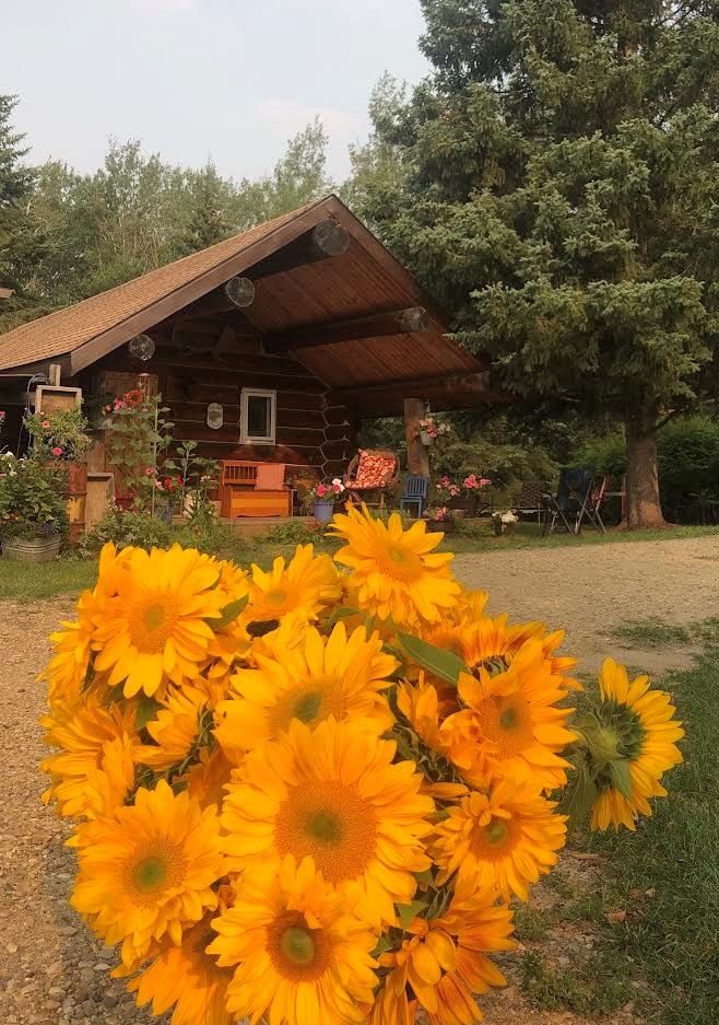 Flowers in from of the boutique