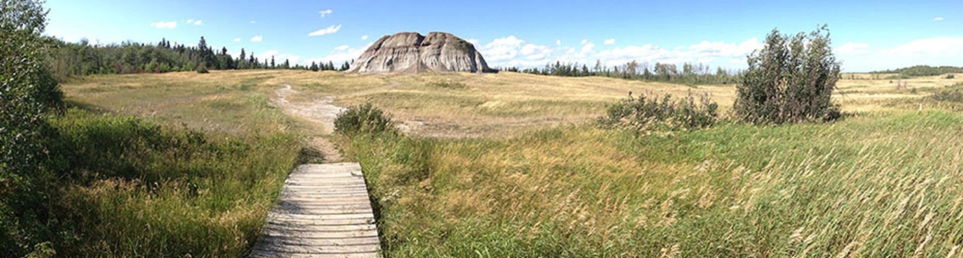 Grassy campground path leading to a large rock formation and pine trees.