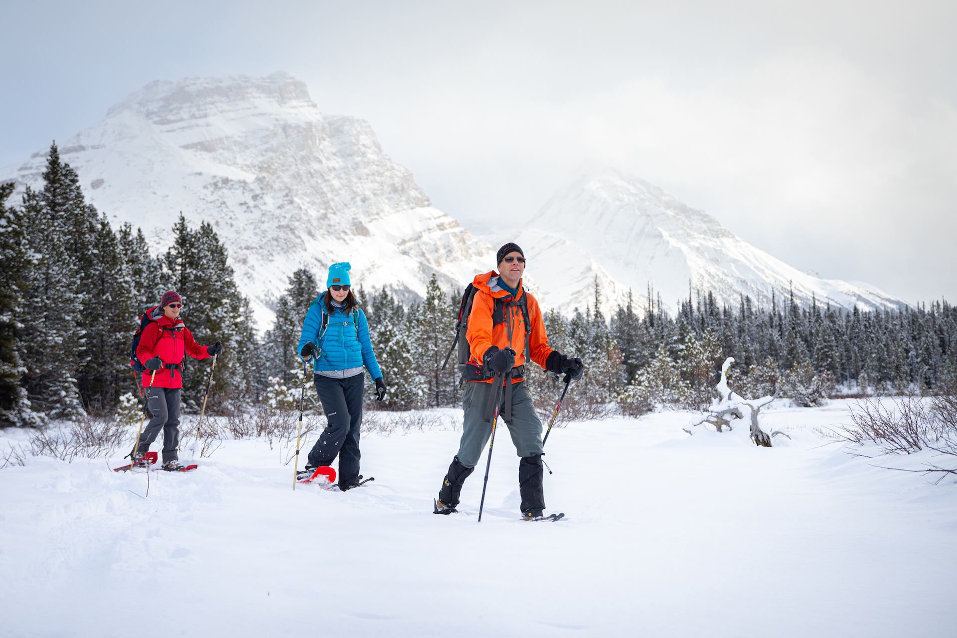 Guide and snowshoeing guests travelling through a meadow with mountains behind.