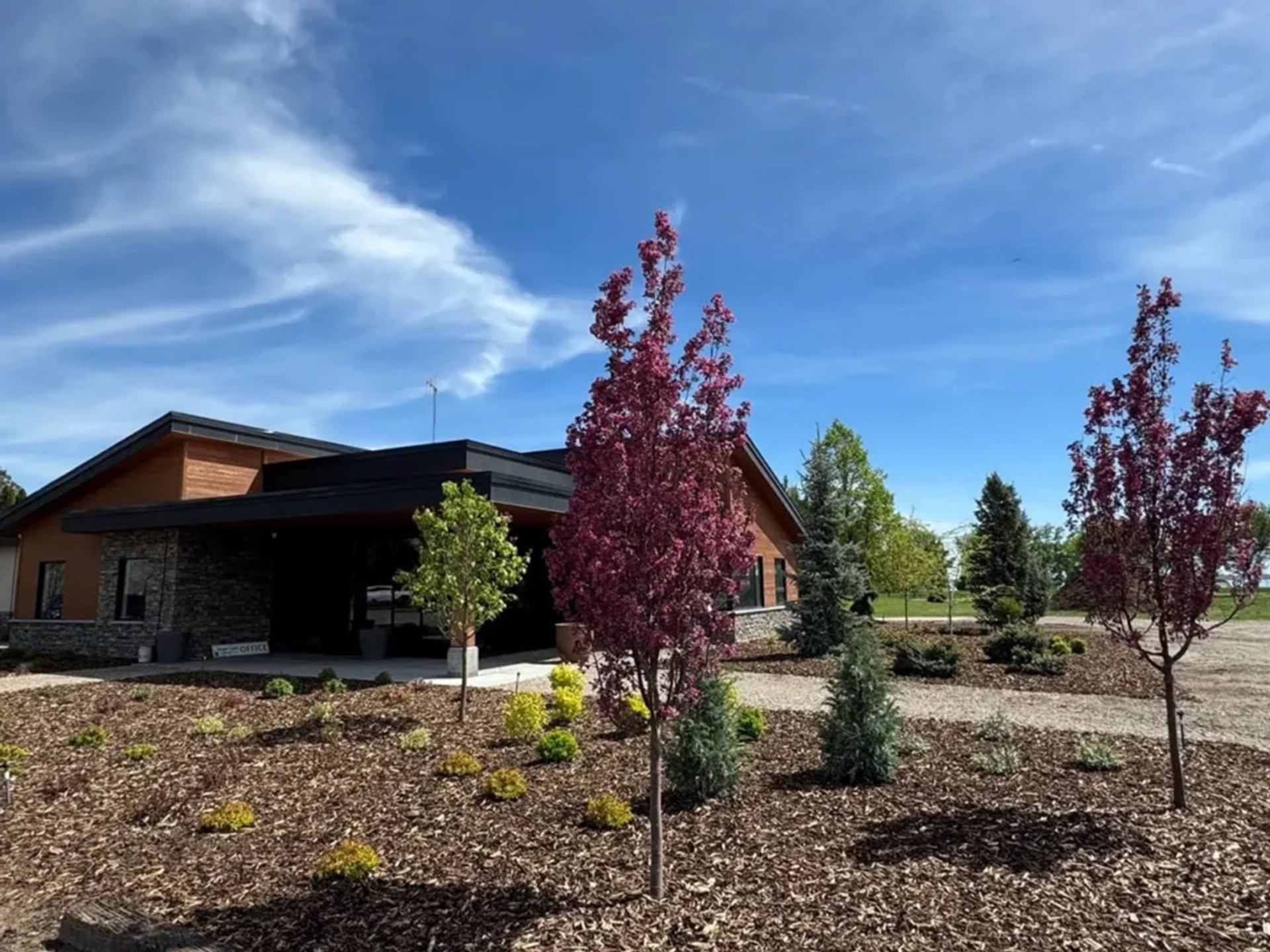Modern low building with landscaped yard, young trees and shrubs under blue sky.