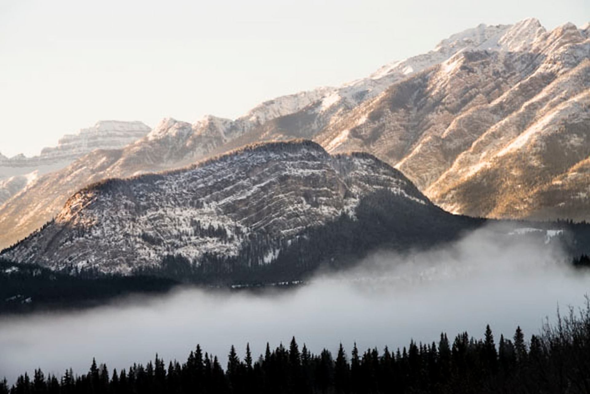Snow-dusted mountain range rises above low fog and dark evergreen forest in foreground.