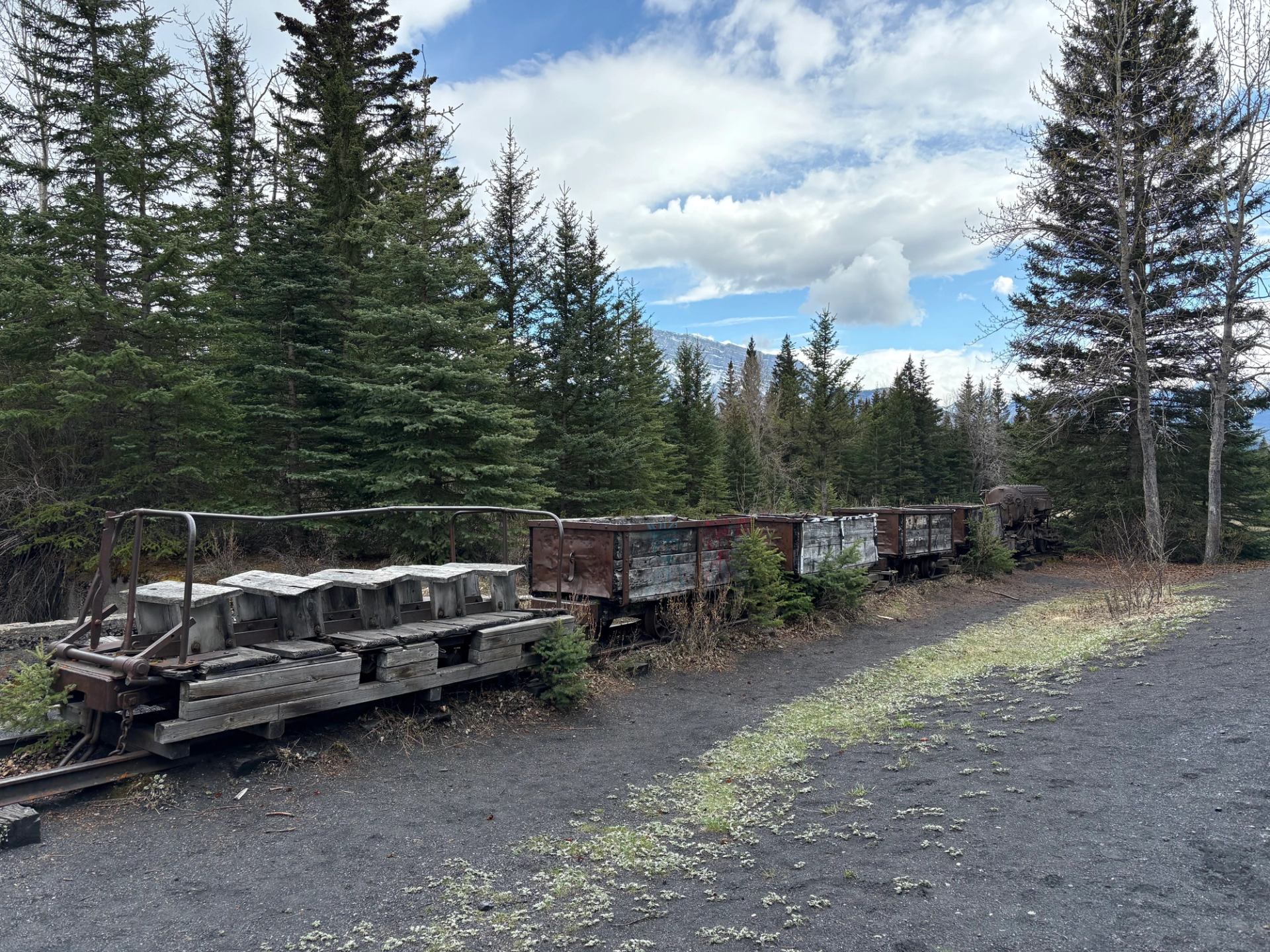 Old wooden mine carts sit on narrow-gauge tracks beside evergreen trees and gravel.
