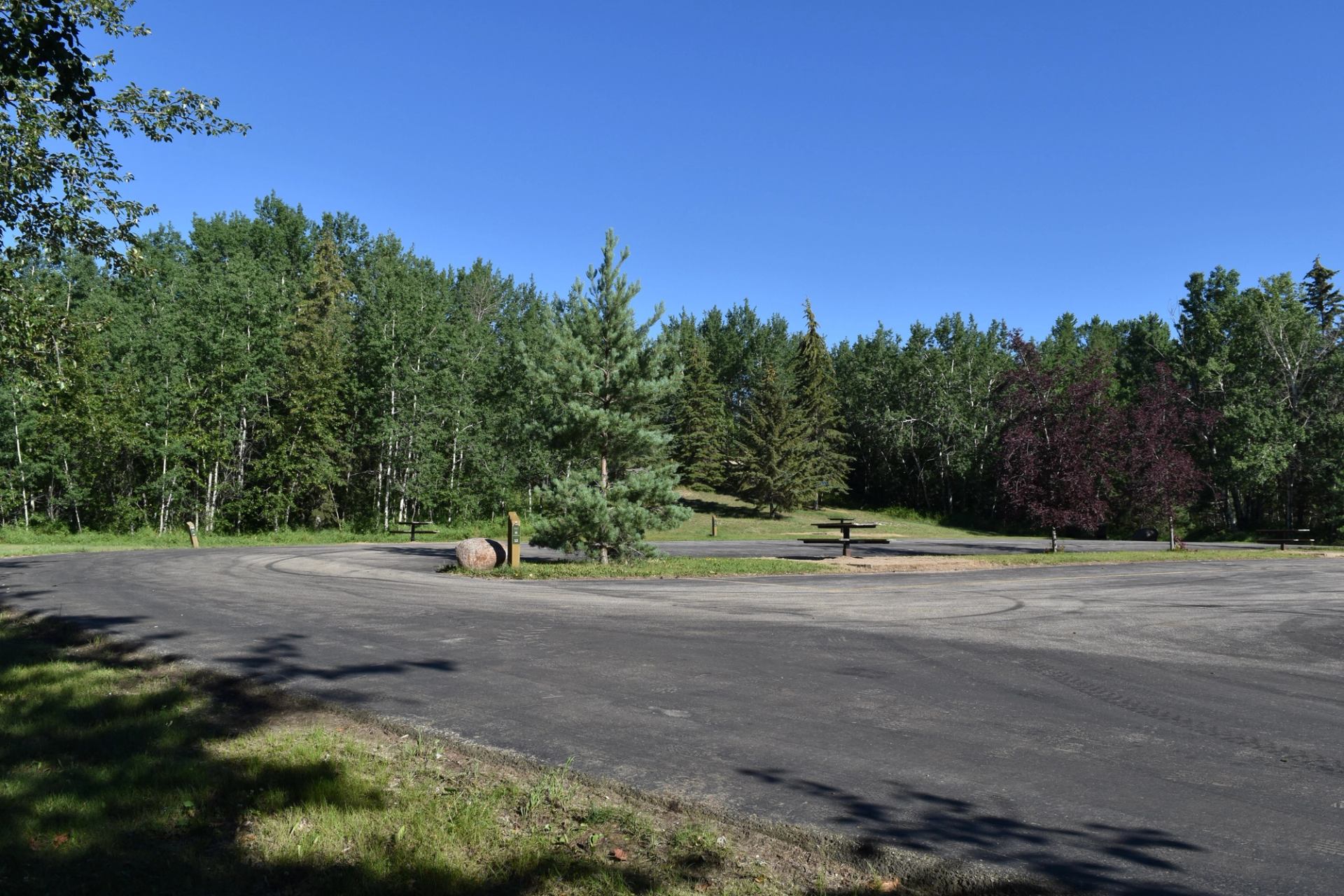 A view of one campsite with a picnic table, the paved road and the paved lot.